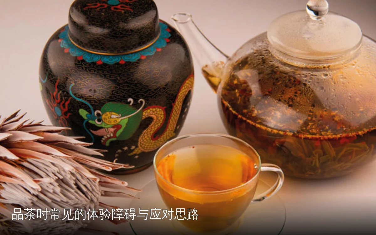 品茶时常见的体验障碍与应对思路